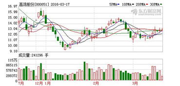 高鸿股份 教育信息化业务步入推广阶段，软硬件技术开发成新引擎
